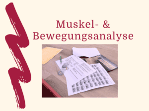 Produktbild Muskel- und Bewegungsanalyse