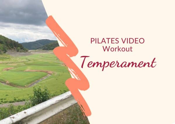 Produktbild Shop Pilates VIDEO Training "Temperament"
